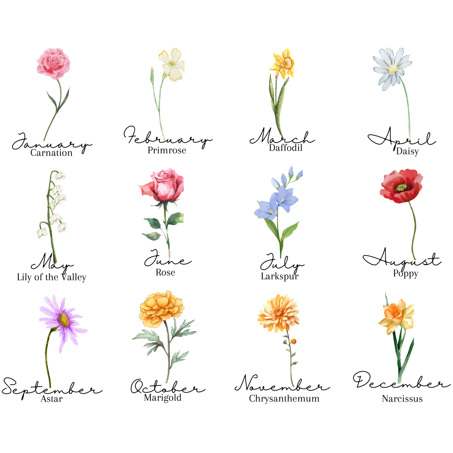 Personalise Birth Month Flowers